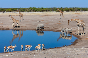 Kruger, Wildlife And Mountains Tour Packages